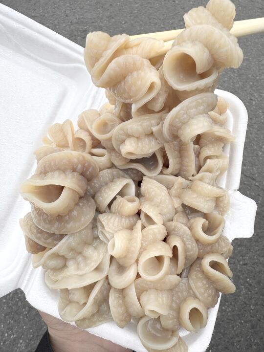 青岛🥹🥹，吃完用一生怀念的。。。。