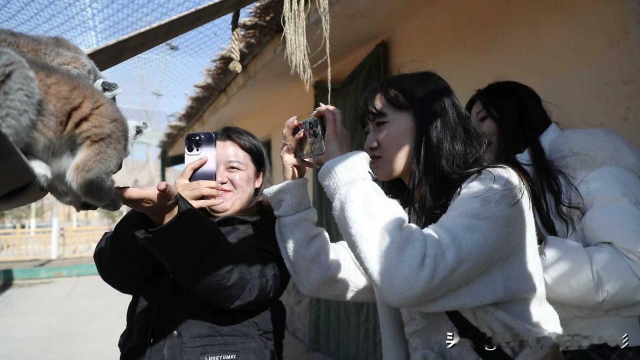 出国留学成热议，有必要去国外读书吗？
——理性看待官员子女留学现象
 
近年来，