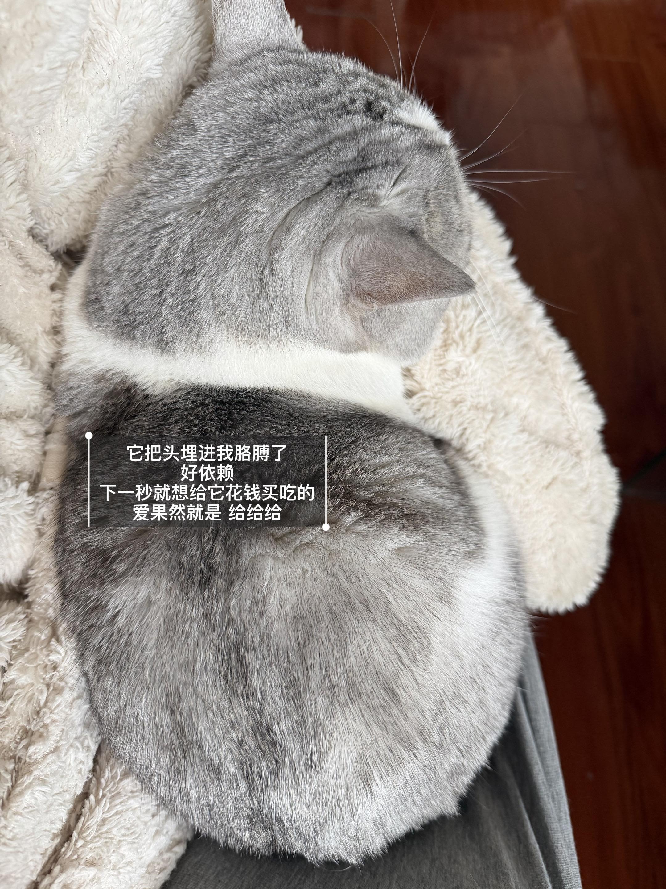 把目光看向自己所拥有的