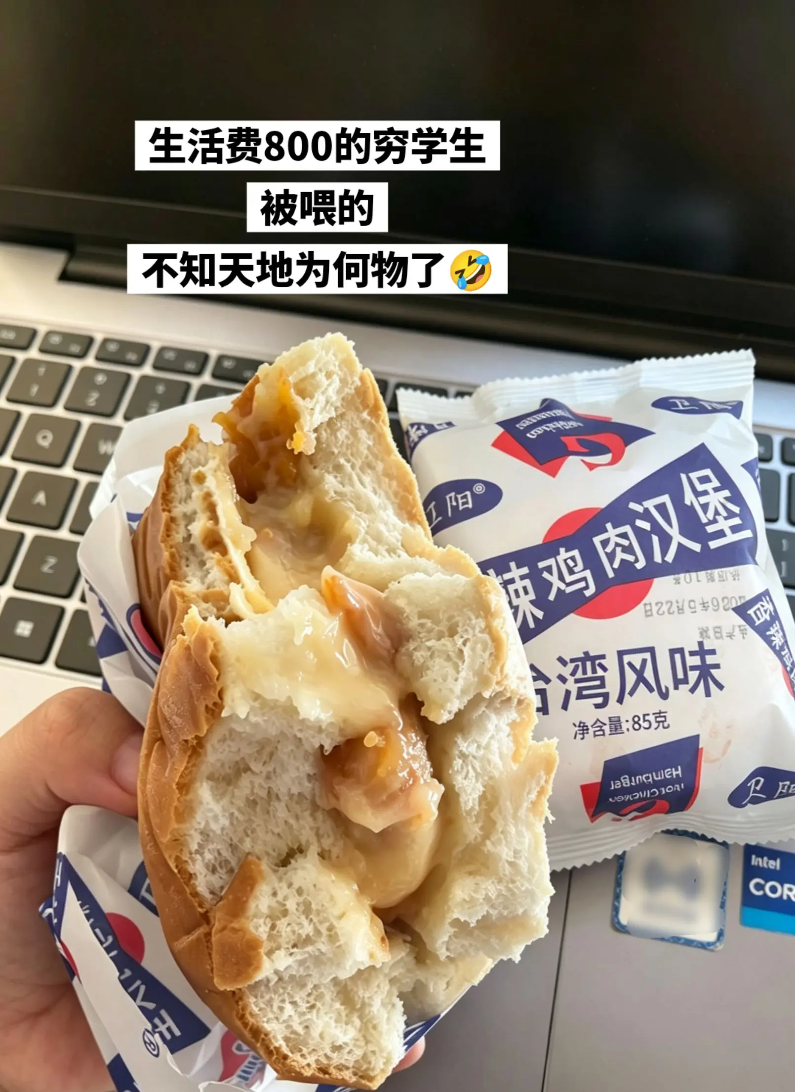 童年记忆中的香辣鸡肉汉堡，还是这么好吃！