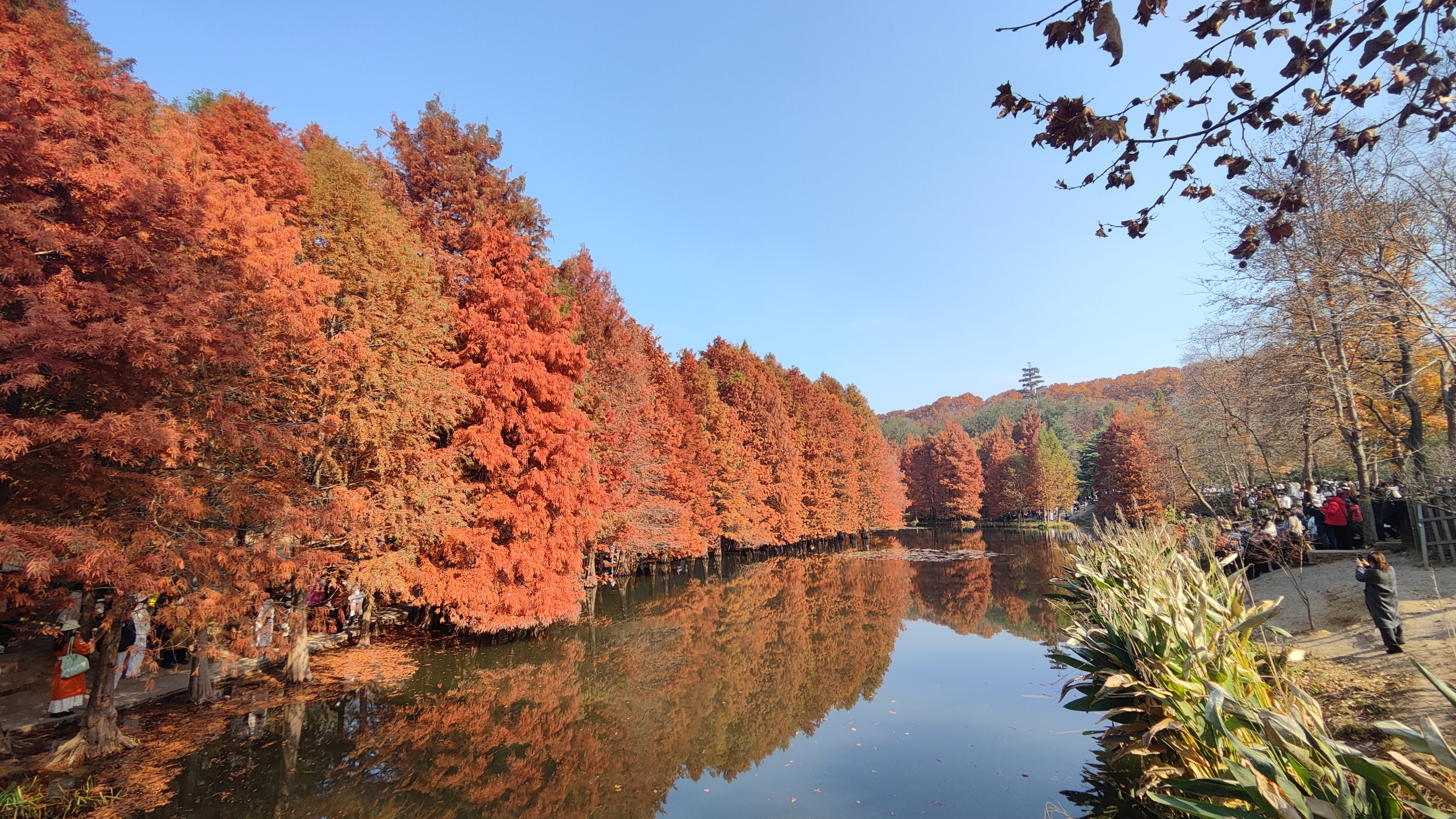 五天苏宁行结束啦 工作日旅游就是爽，不用人挤人。祝福我早日长期过上这样的日子好吗