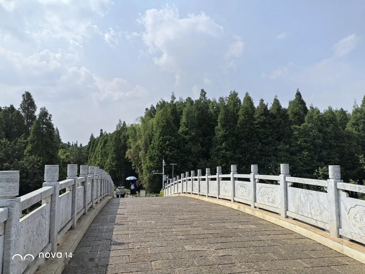 今年春天最想实现的心愿能把房贷还掉10万