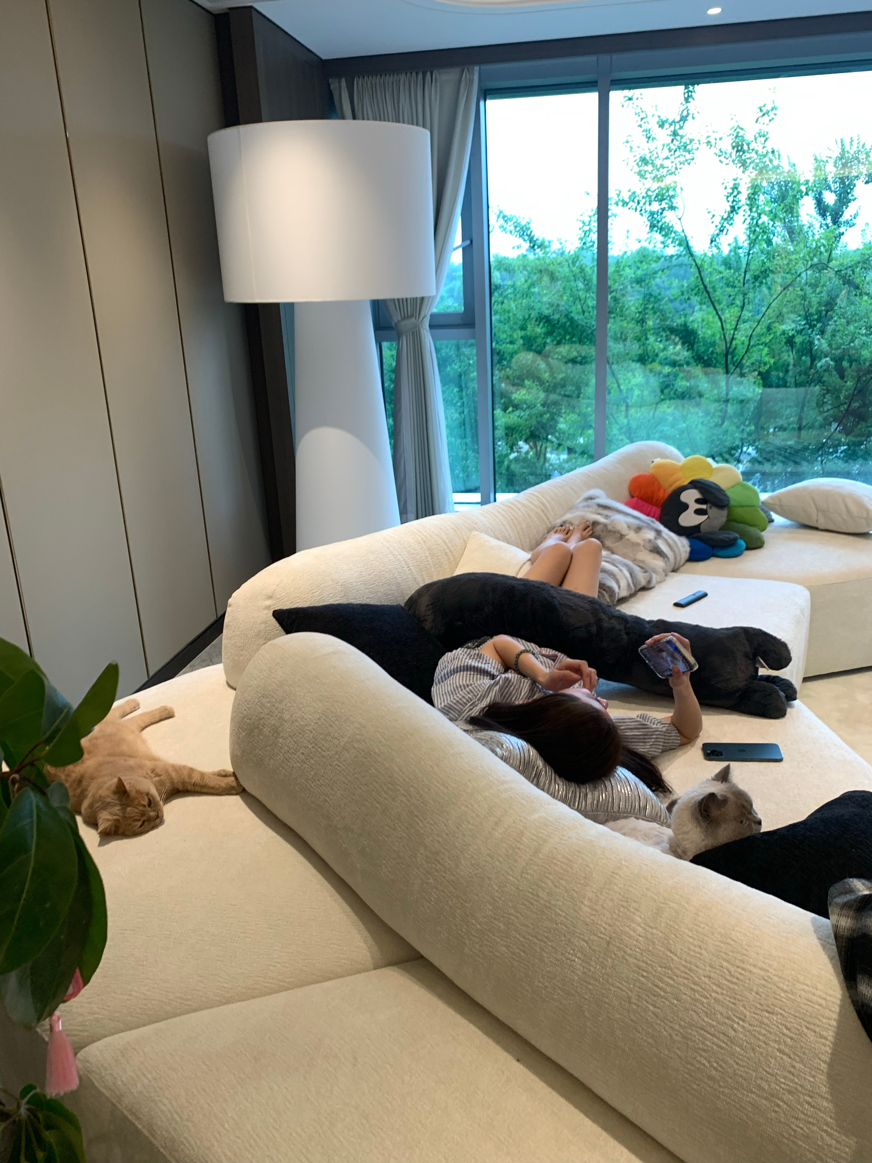 我工作结束完 躺着听dy小说（呀 猫都躺在旁边 太有爱了）昨天睡太晚了今天起床困