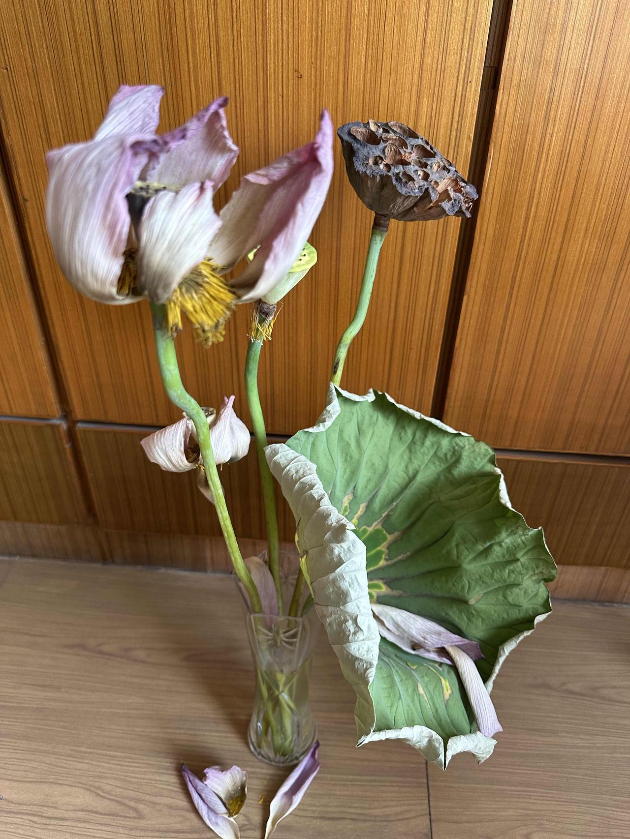 我的老同学真逗，又给我来这一出了！
晚上7:03，我手机拿在手上玩，突然跳出微信