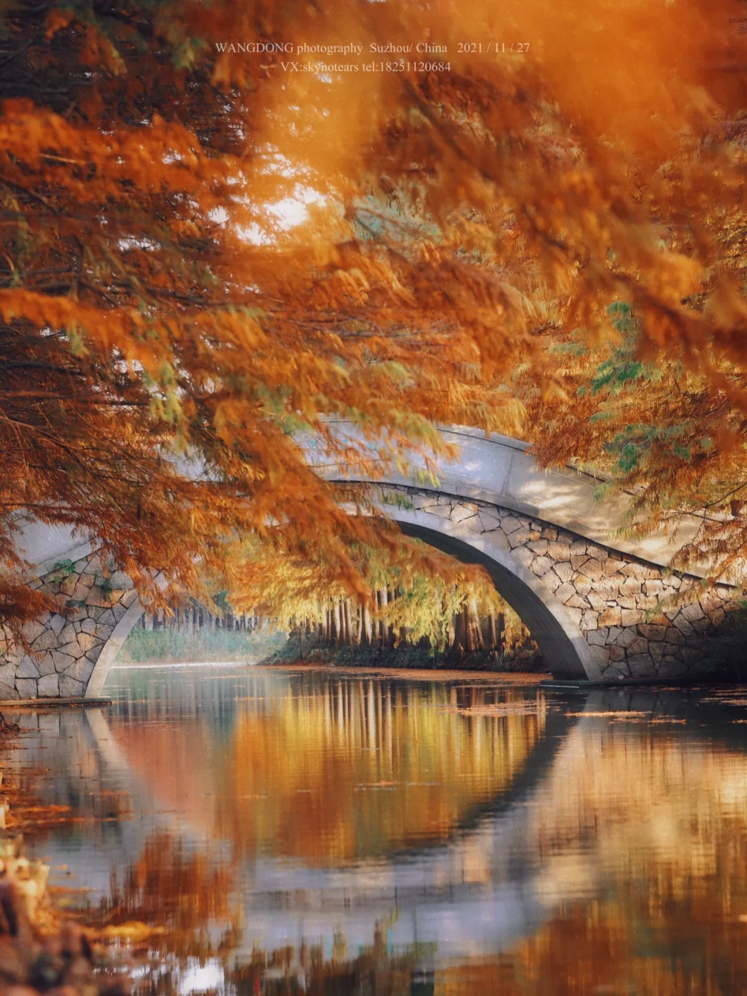 金色虎丘湿地公园（攻略）