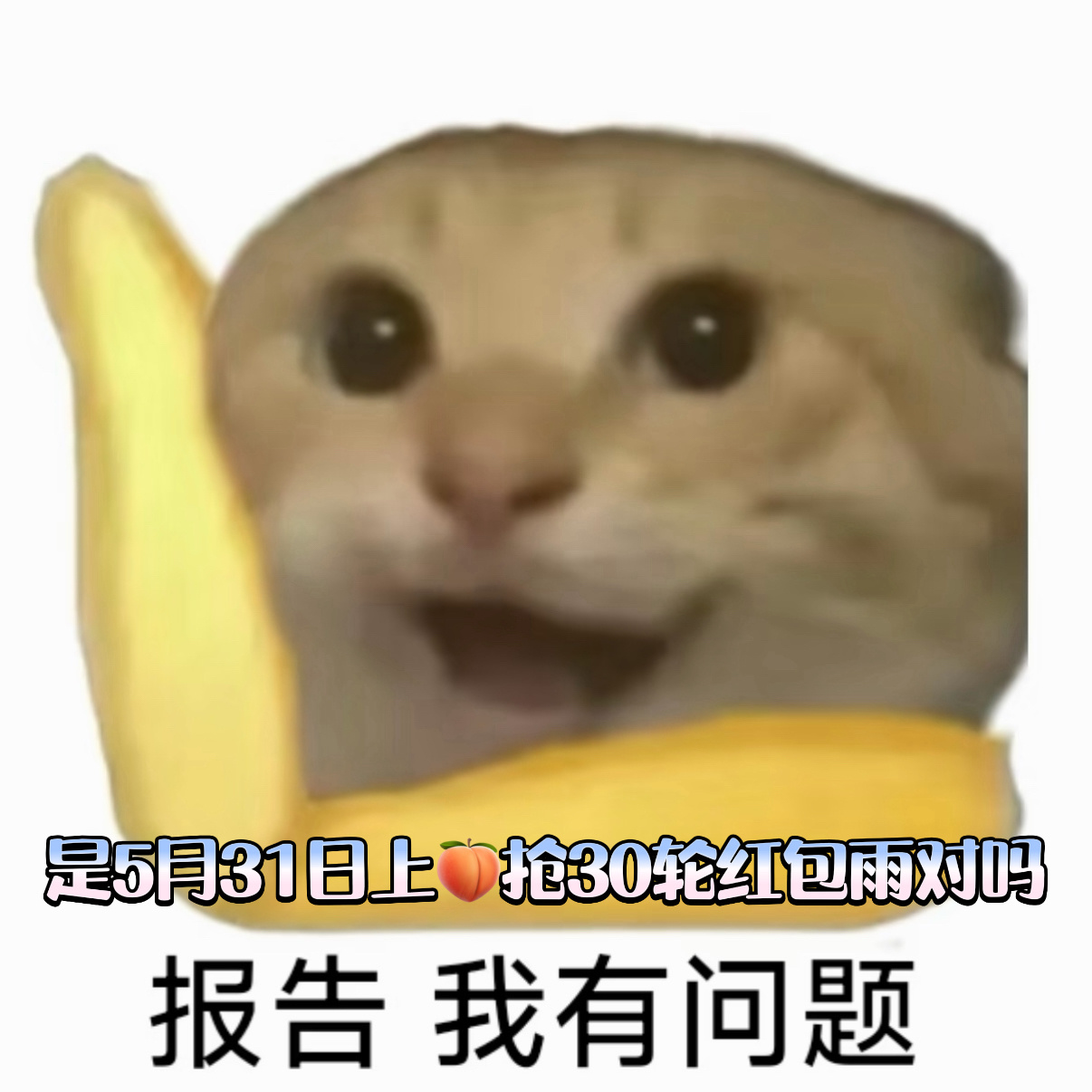 超多明星代言爆款齐聚天猫618爆款盛典，现货低至73折！5月31日晚7点，上淘宝