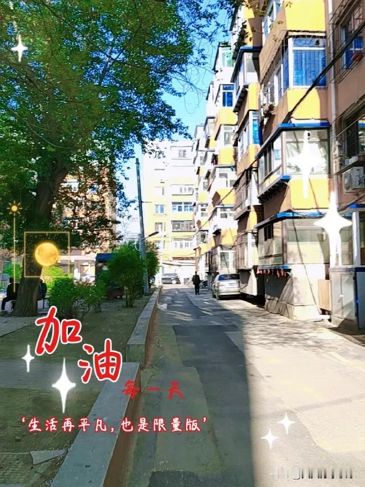 春日生活打卡季
