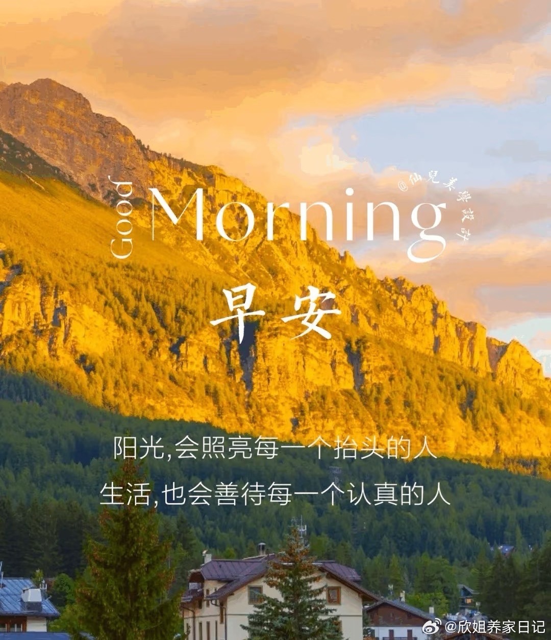 大家早上好，新的一天开始了，还是老规矩，点赞➕168！祝大家股票长红，持仓大涨！