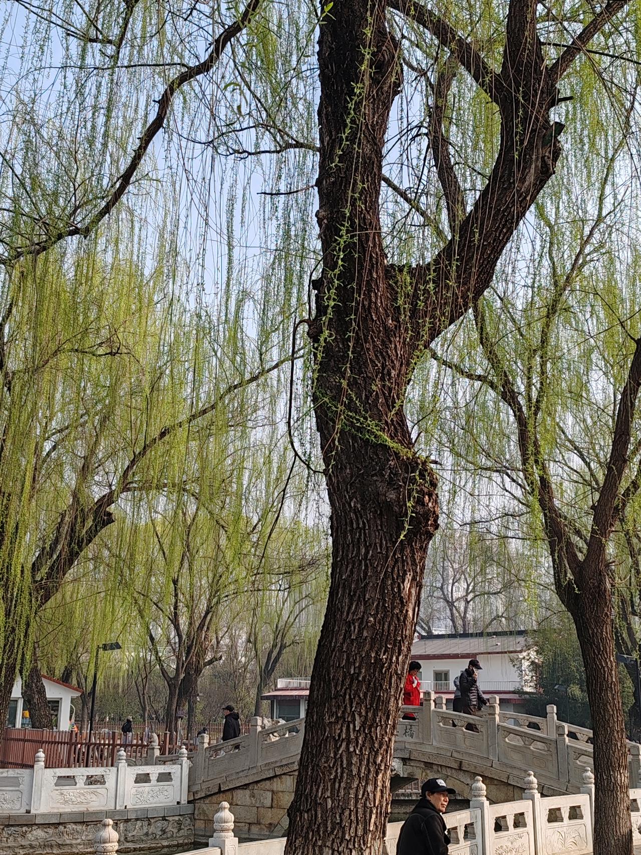 春日生活打卡季走在春风里。