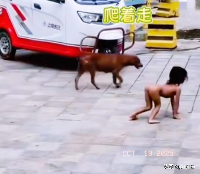 这个小孩跑起来，如猴子般灵活敏捷，四肢着地，姿势也是，孩子站立时手是跟狗一样的下