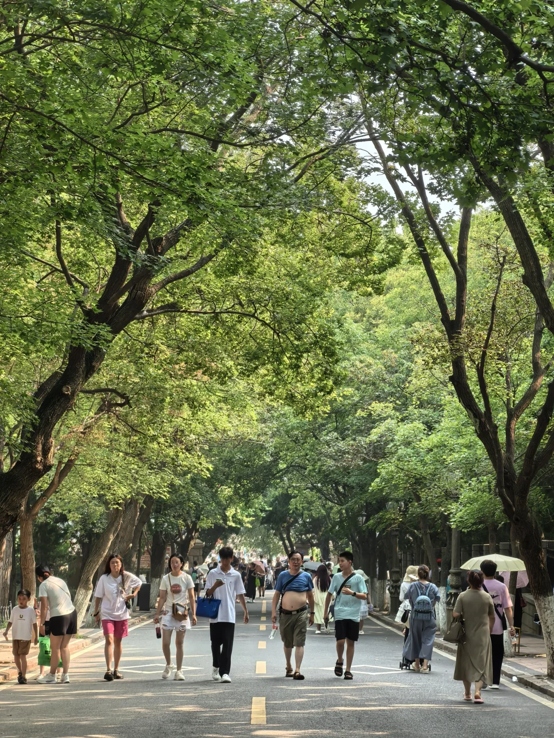 8.24青岛街头实况 游客们～辛苦了😊