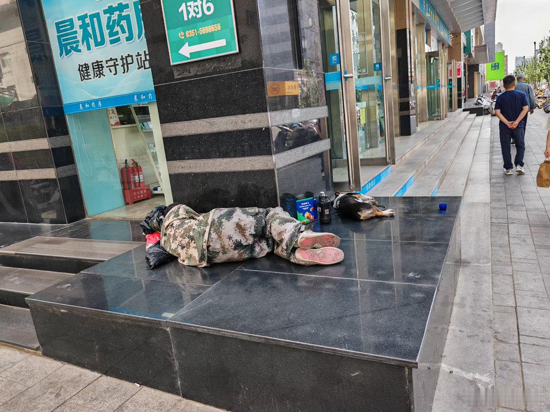 流浪汉的流浪狗 