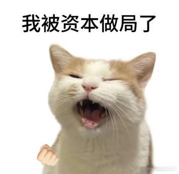 以前总觉得黄金是过时的投资品，但现在才发现，它在资产配置中的作用无可替代！尤其是