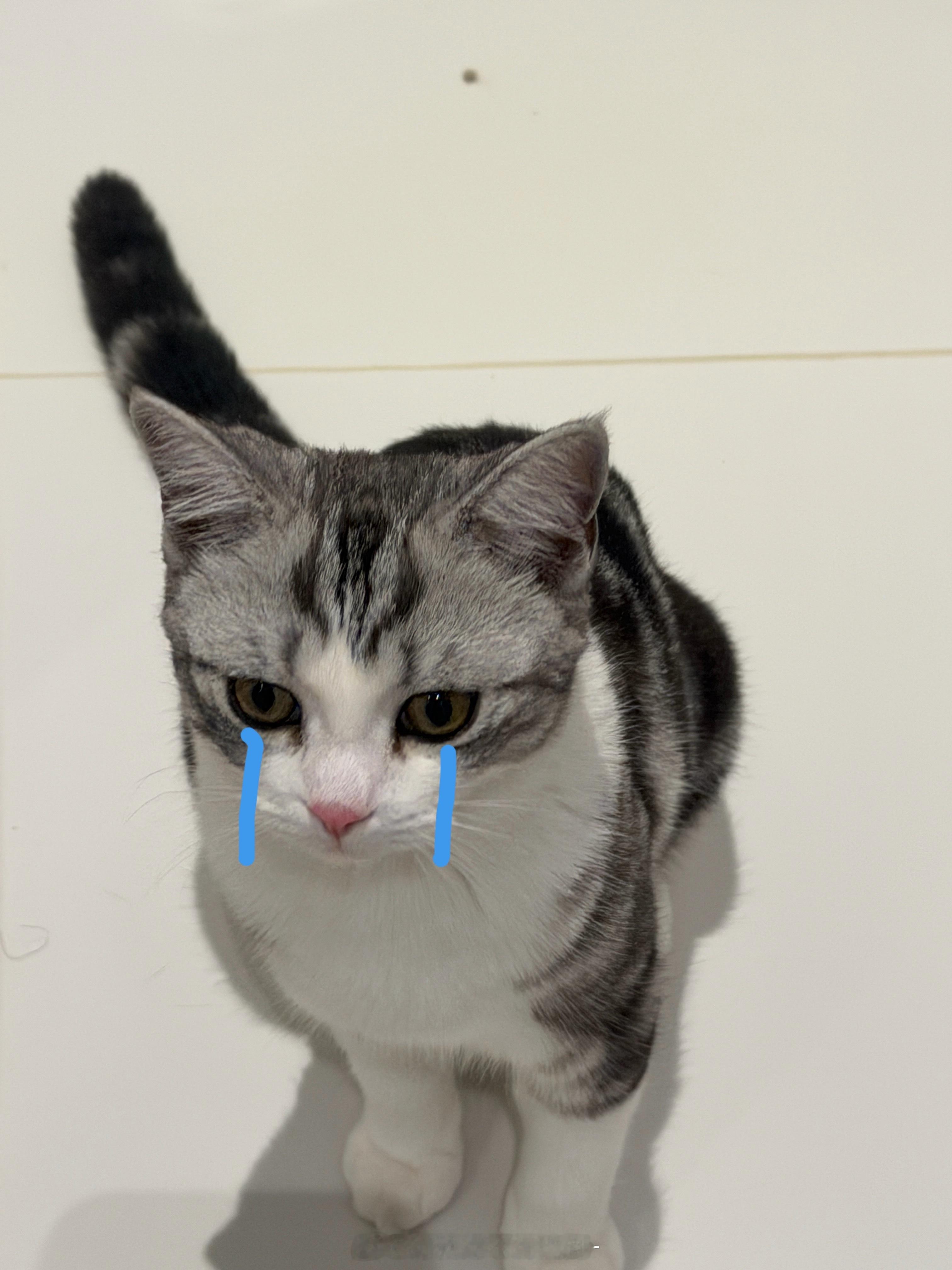 诶 ​​​