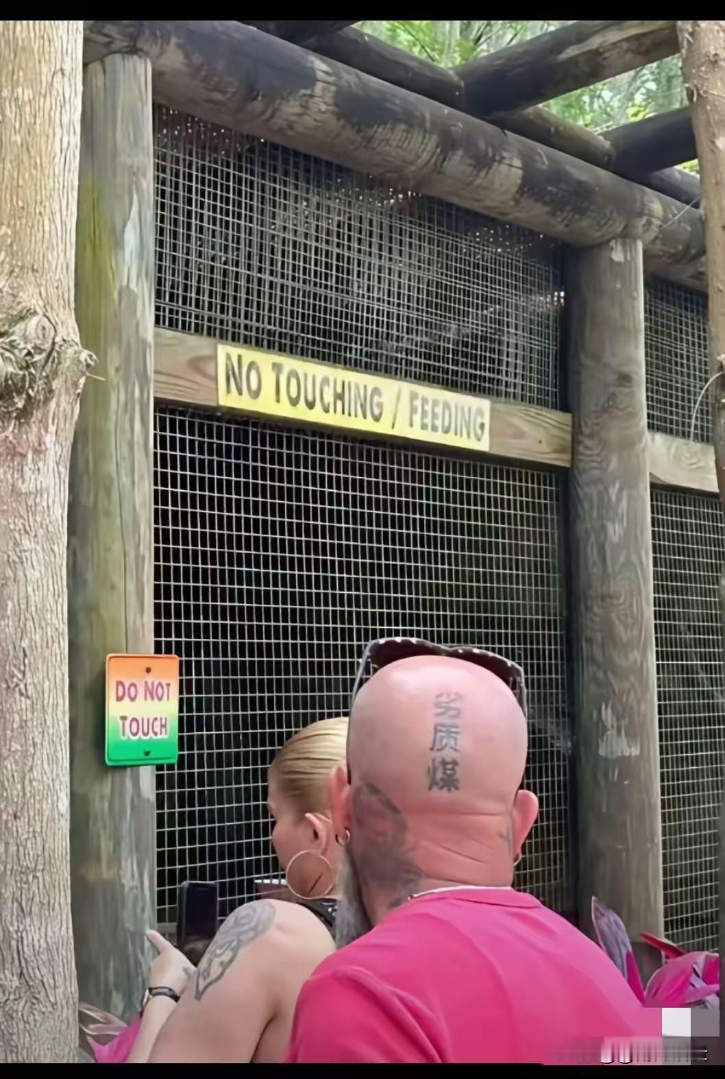 这老外是不是根本不懂中文啊，脑壳上居然纹了“劣质煤”。难道在纹之前，纹身师没有告