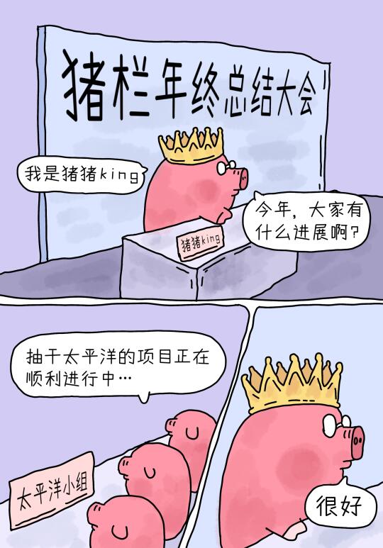 猪栏的年终总结