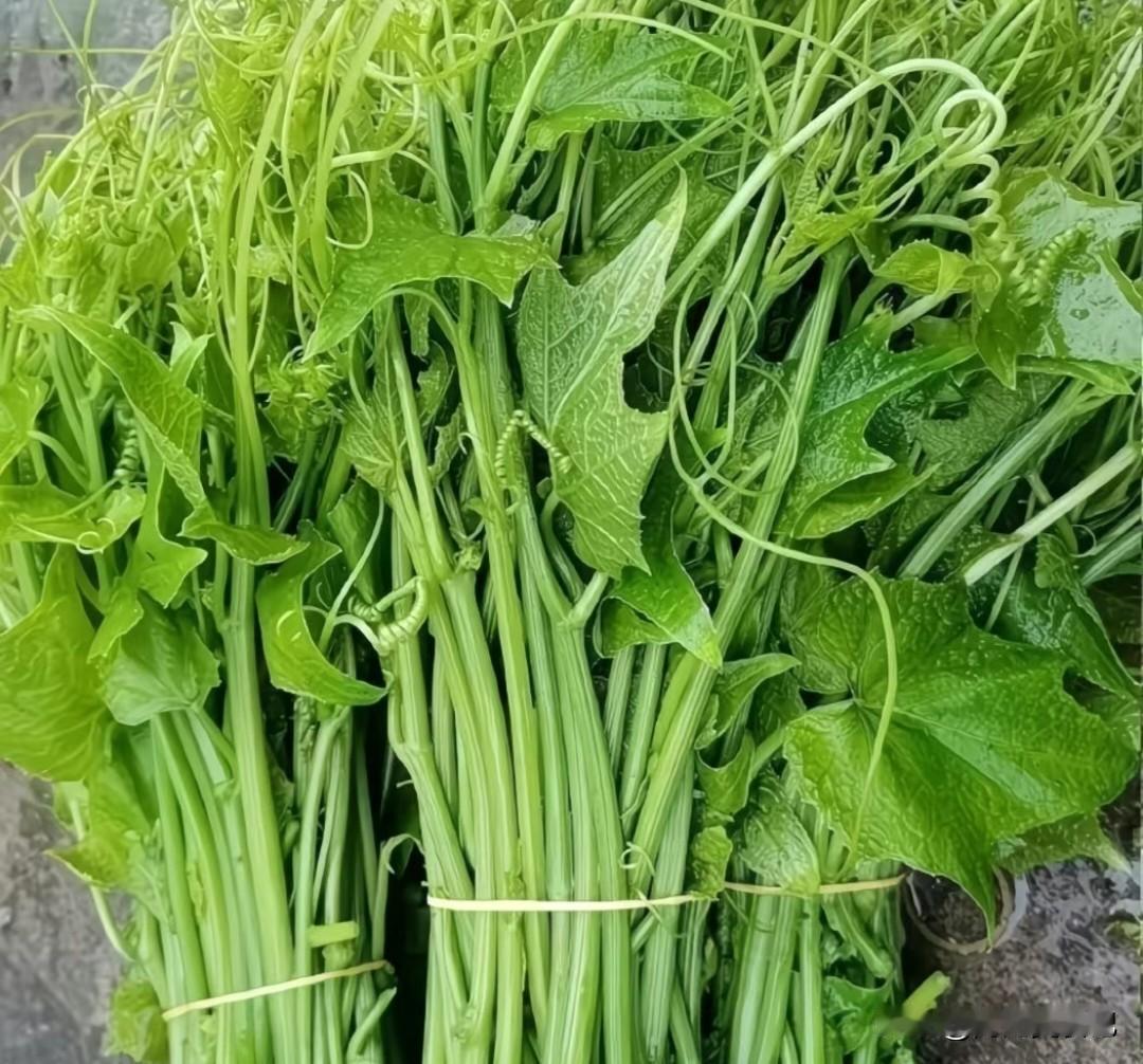 佛手瓜苗的吃法可太妙啦！我超爱蒜炒佛手瓜苗。
先准备一把佛手瓜苗、少许蒜和一个辣