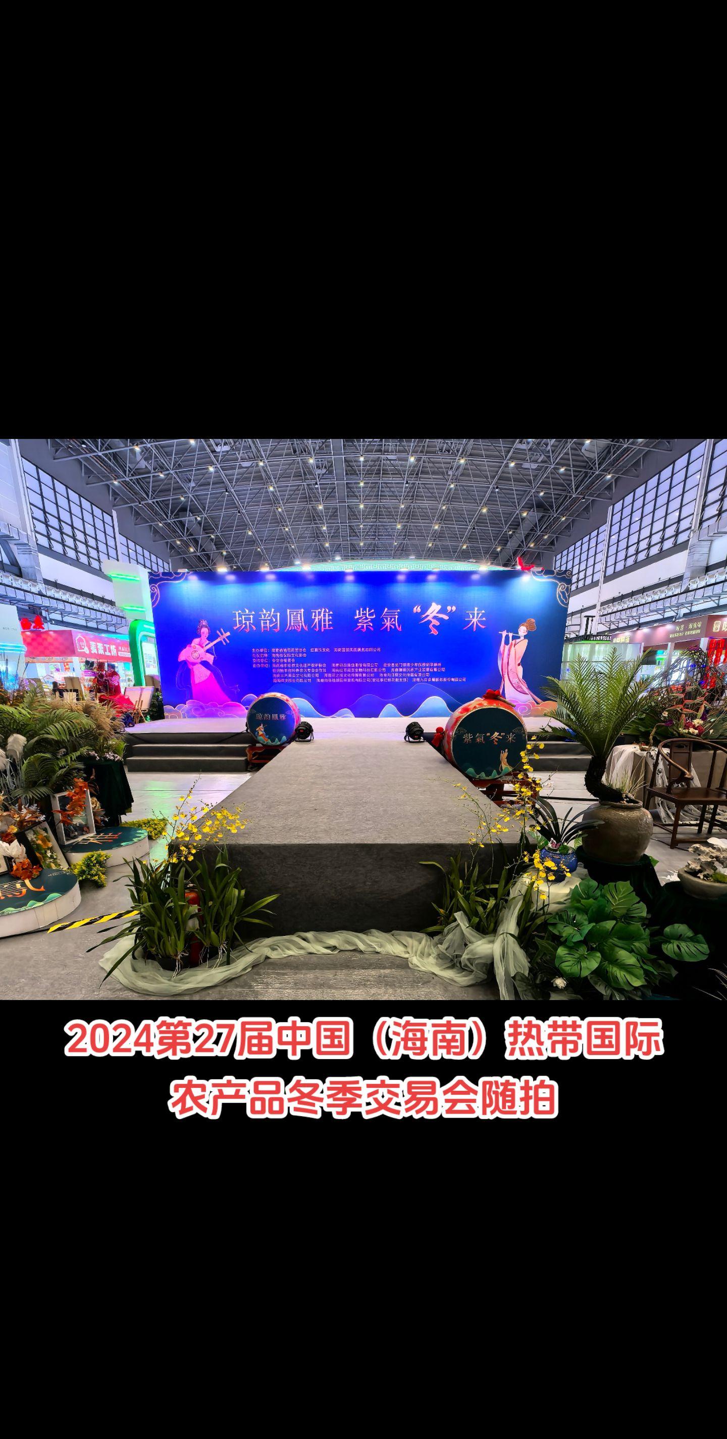 琼韵凤雅 紫气冬来。