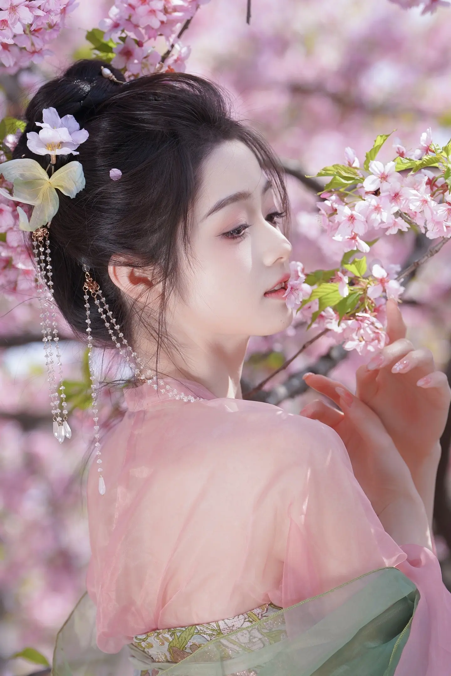 樱花烂漫几多时 马上就是樱花的季节了。