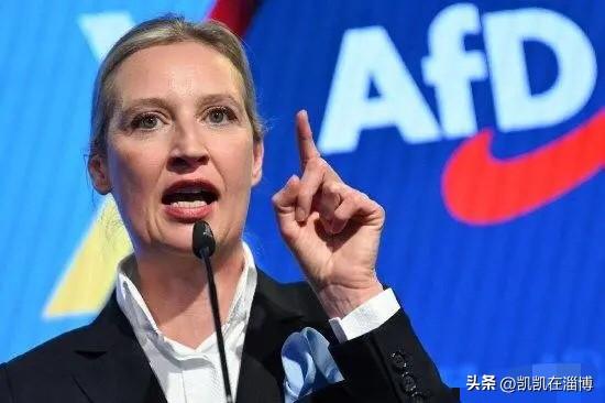 默茨和魏德尔，两个人的出发点、格局完全不一样。默茨的逻辑，是站在欧洲安全框架考虑