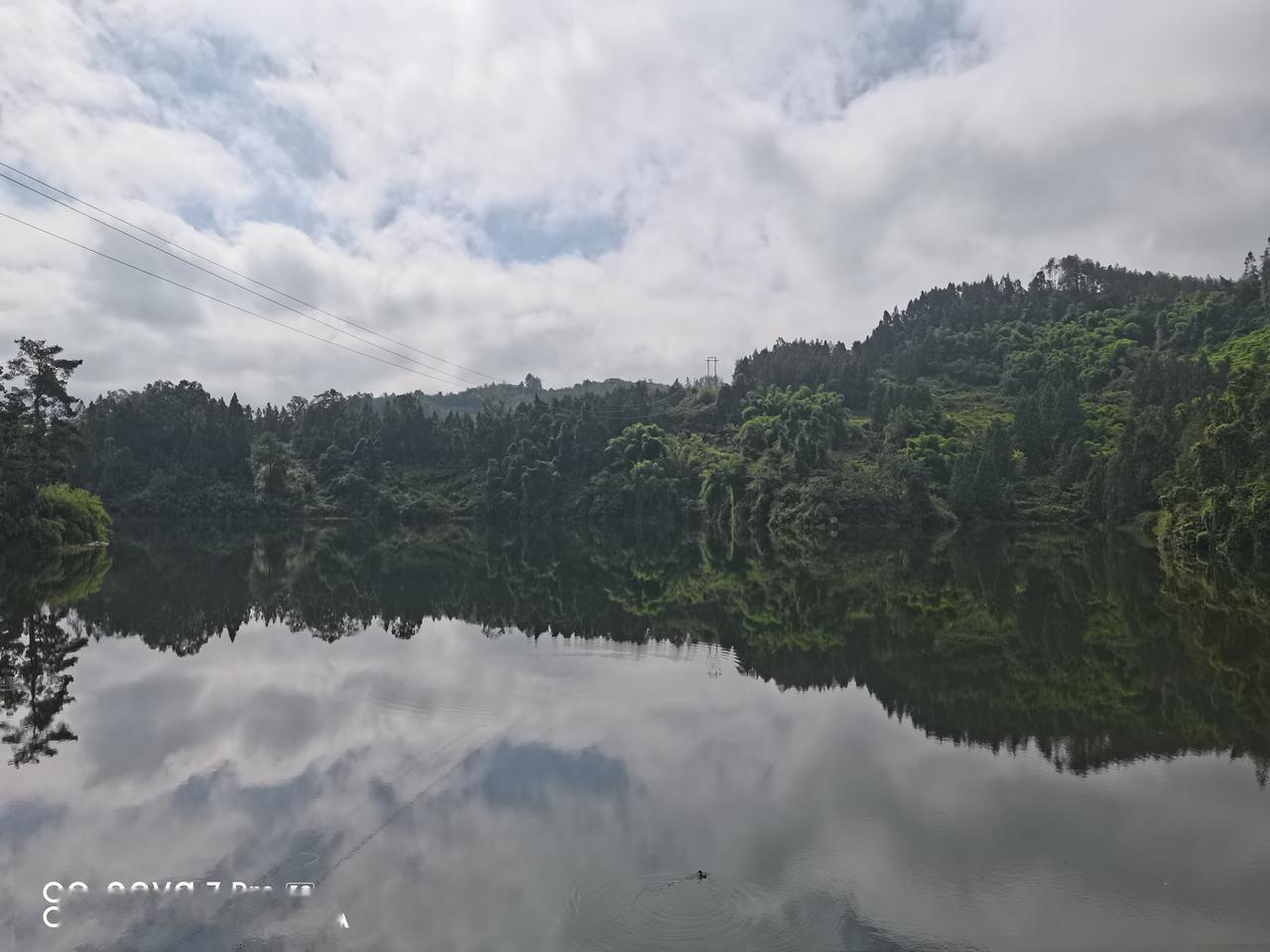 记录我的2025九龙湖掠影[微风]九龙湖实景