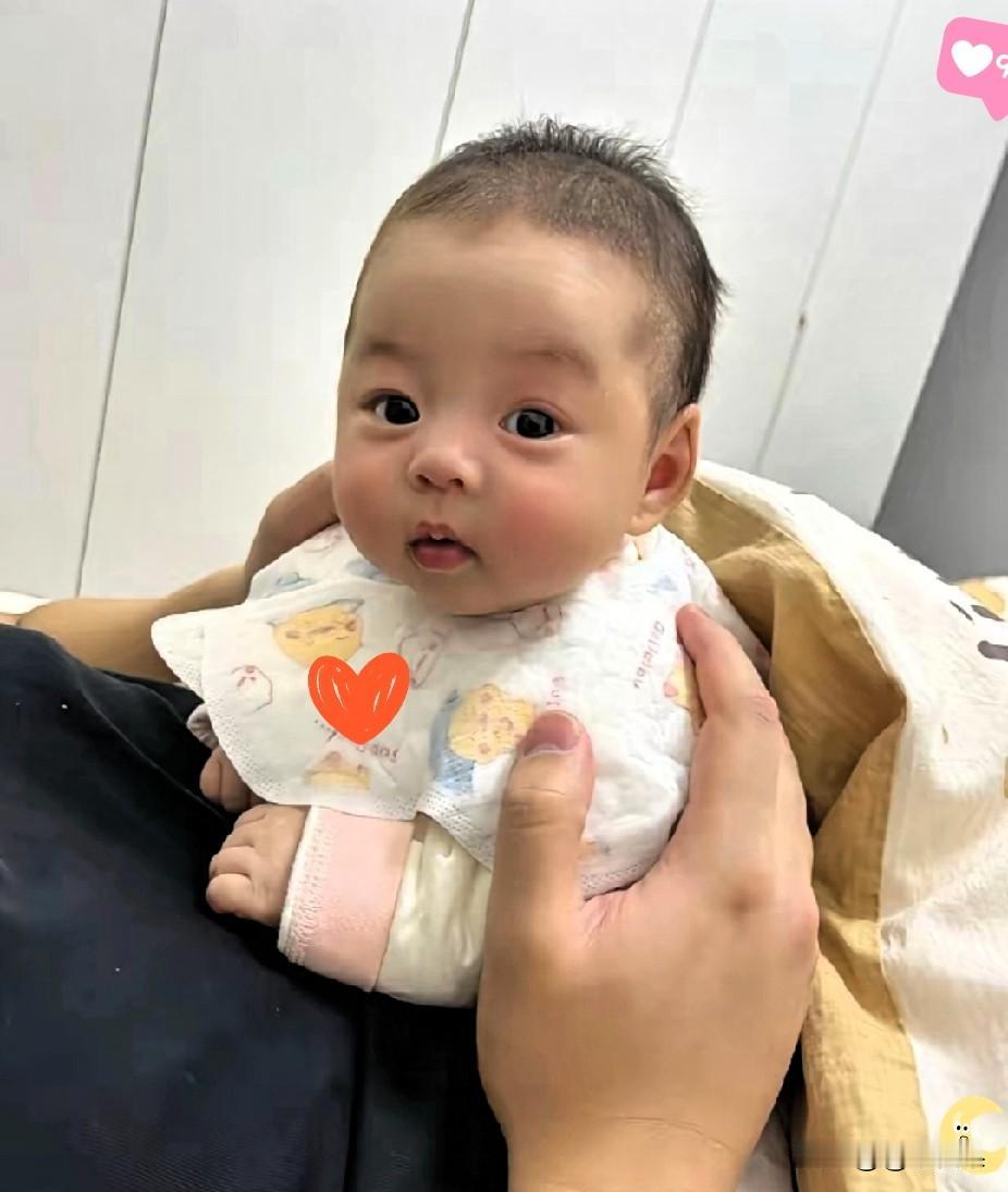 女儿结婚多年一直没怀上，去年领养了个可爱宝宝，全家把他宠成宝，可才养半年，女儿竟