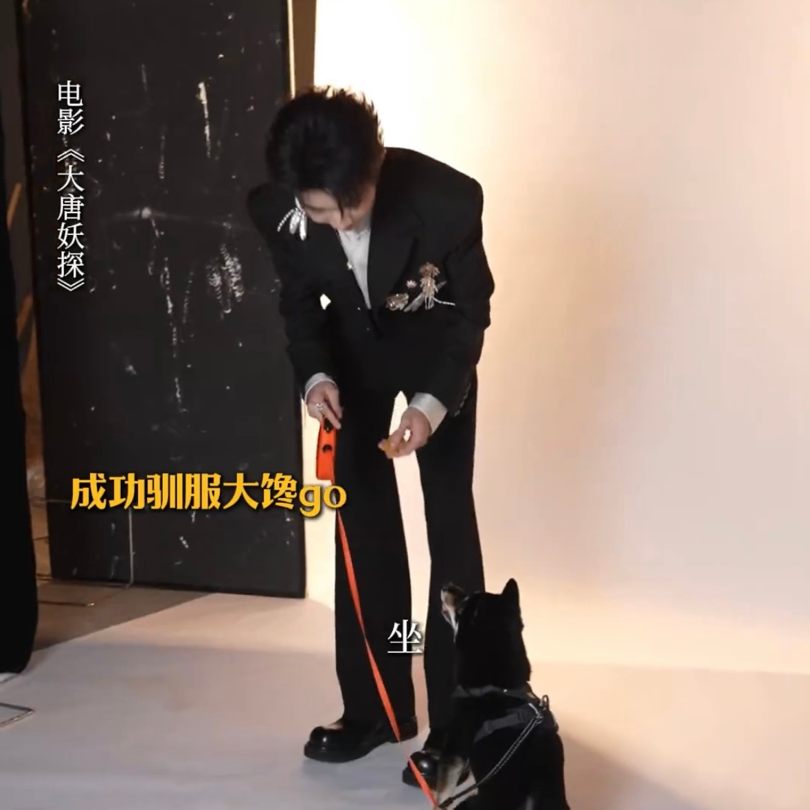 柴柴遇到哥哥也要乖乖听话૮・ᴥ - ა 