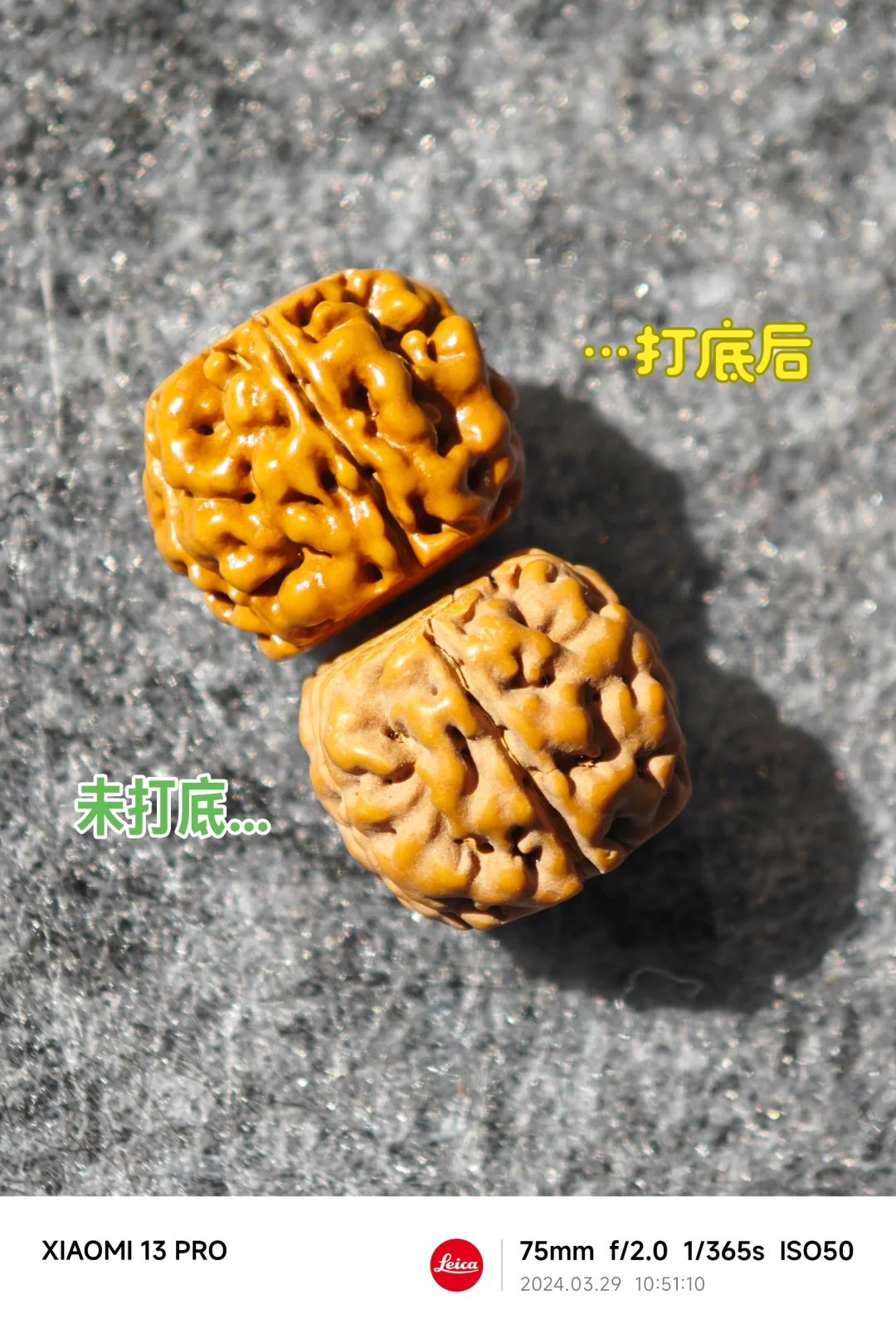 NO.438 潜水艇小金刚打底