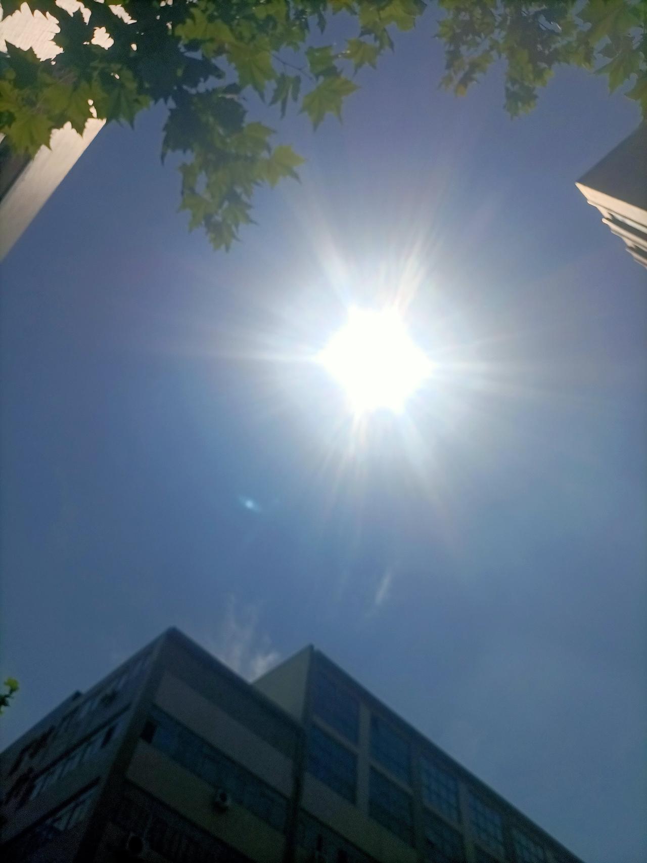 预报的国际庄的大雨下到哪儿了呢？昨天风起云涌乌云冠顶，也未见密雨飘洒，今晨一丝凉
