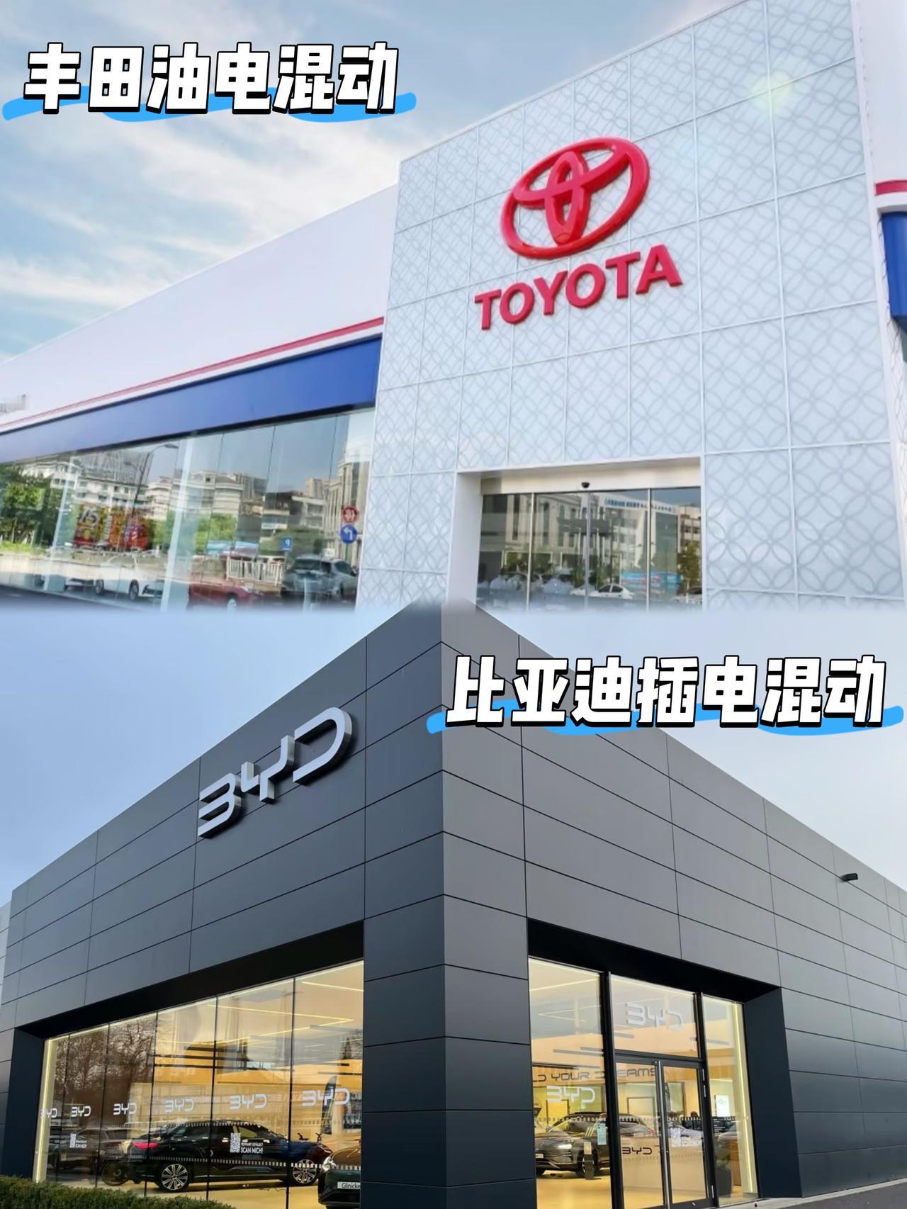 混动双雄争霸，丰田为何被比亚迪这位后来者拍打在沙滩上

曾几何时，提起混动汽车，