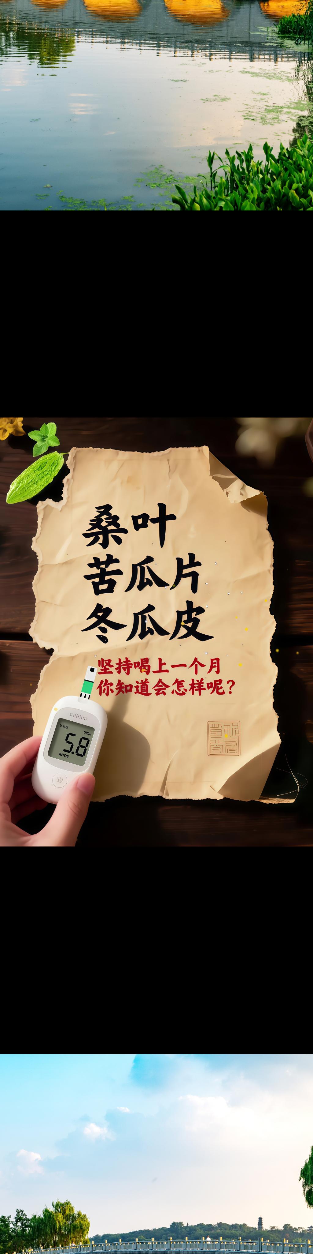 桑叶双瓜茶桑叶双瓜茶好处多多