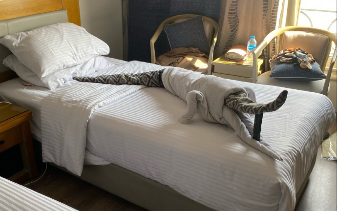 终于摆脱了尼罗河的“被子震”！🛏️ 
