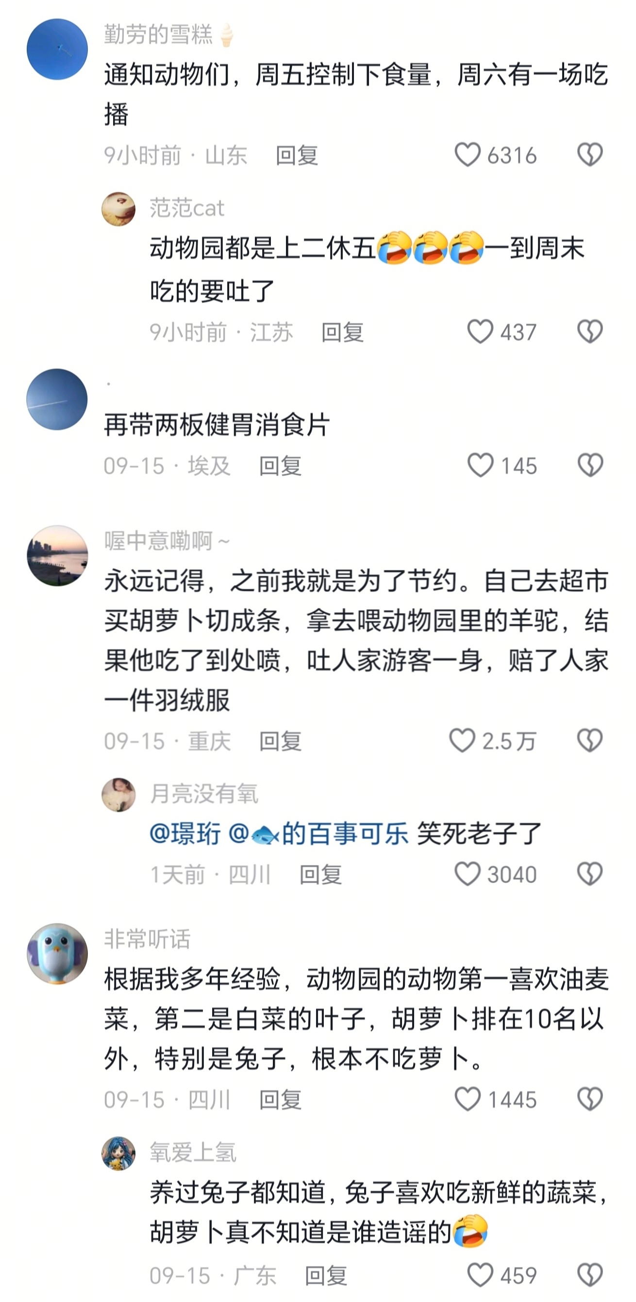 第二天动物园里的动物皮肤都黄了 ​​​