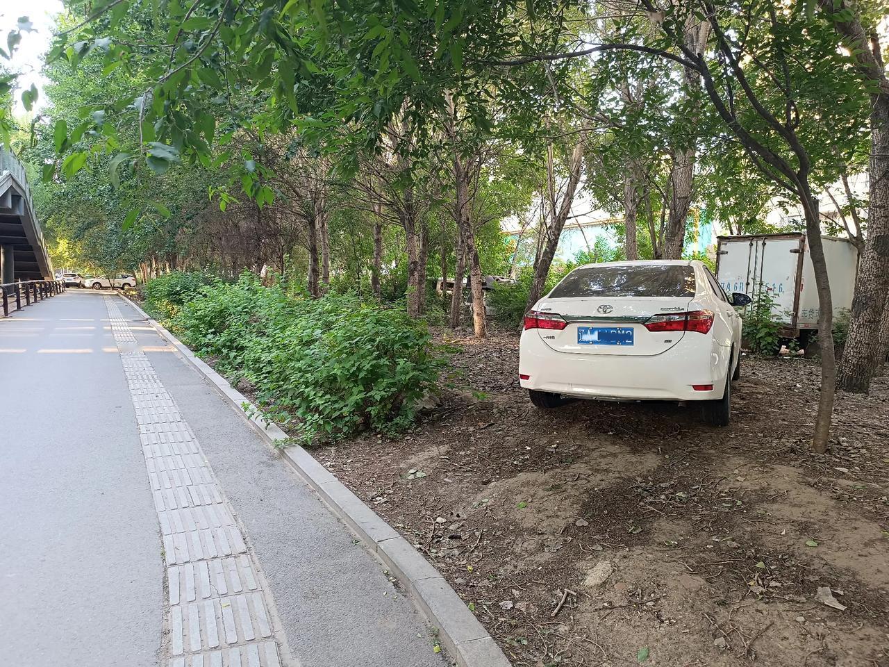 这样方式停车合适吗？今天路过望花街看到很多私家车停在了绿化带里，太没有素质了！