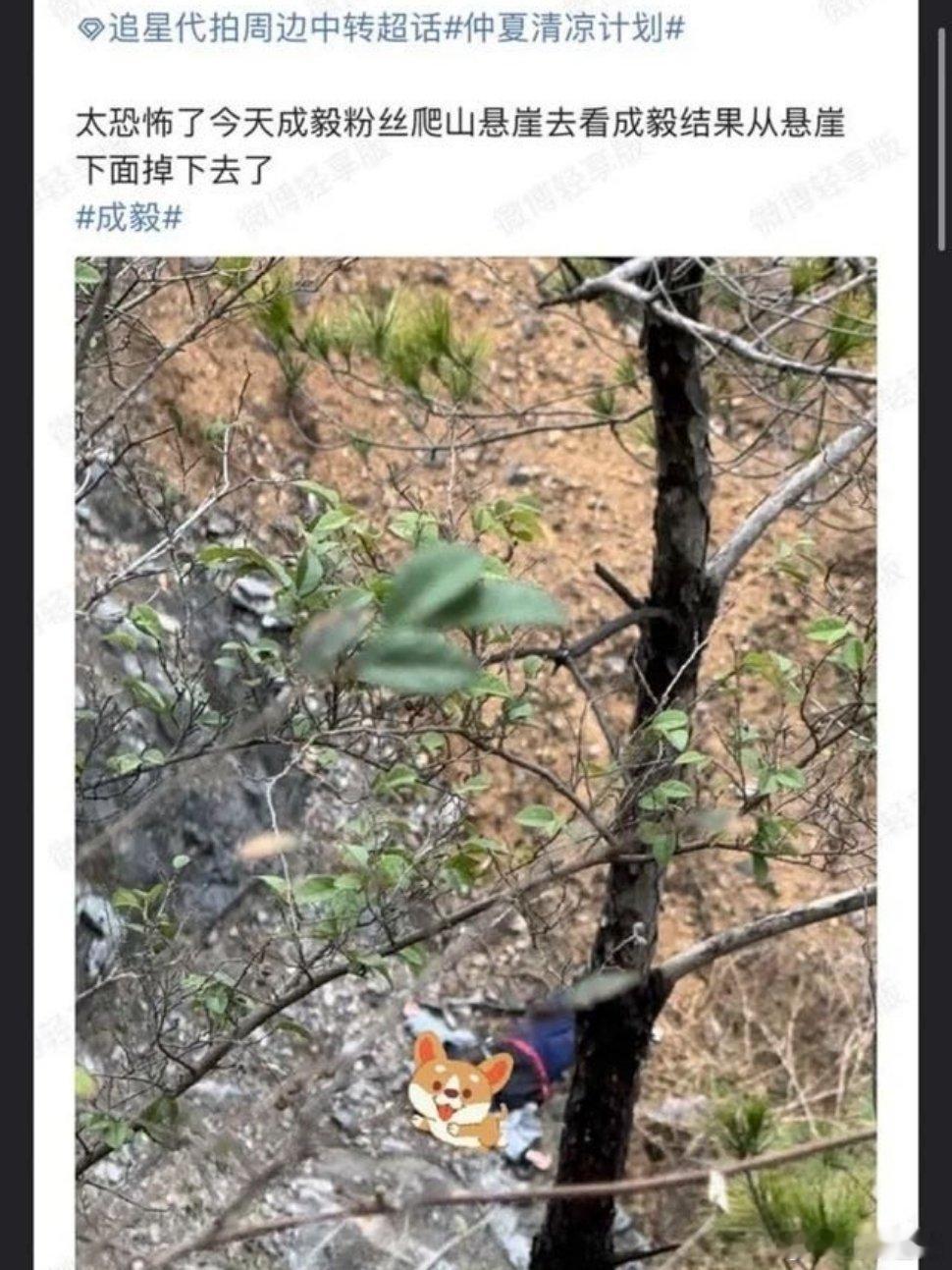 #横店悬崖# 宁采臣内心OS: 我真服了你们[允悲] ​​​