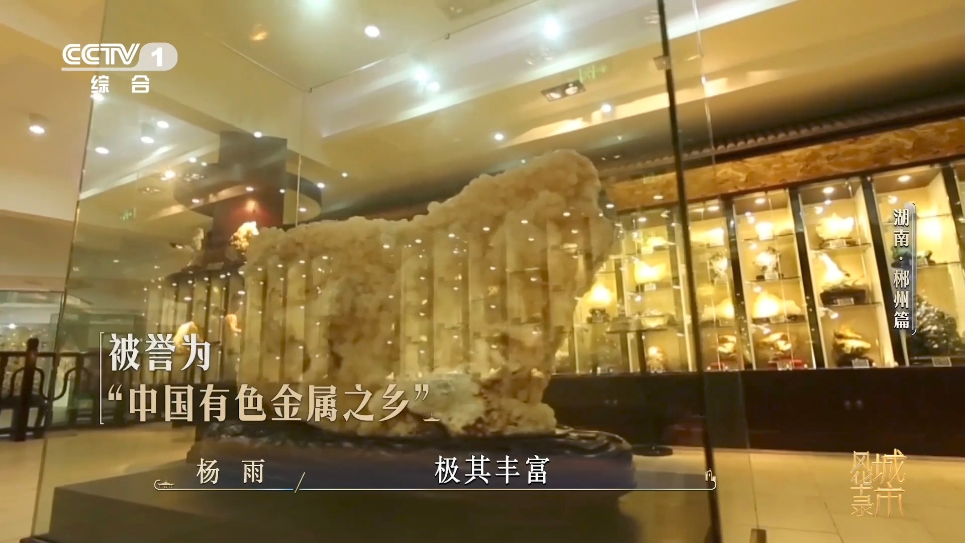 魏大勋给撒贝宁问不会了 被魏大勋问住的冷知识：郴（chēn），左林右邑，从秦代至