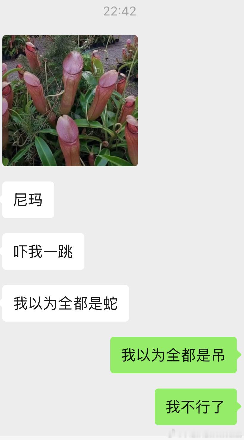 我的银商就这样 