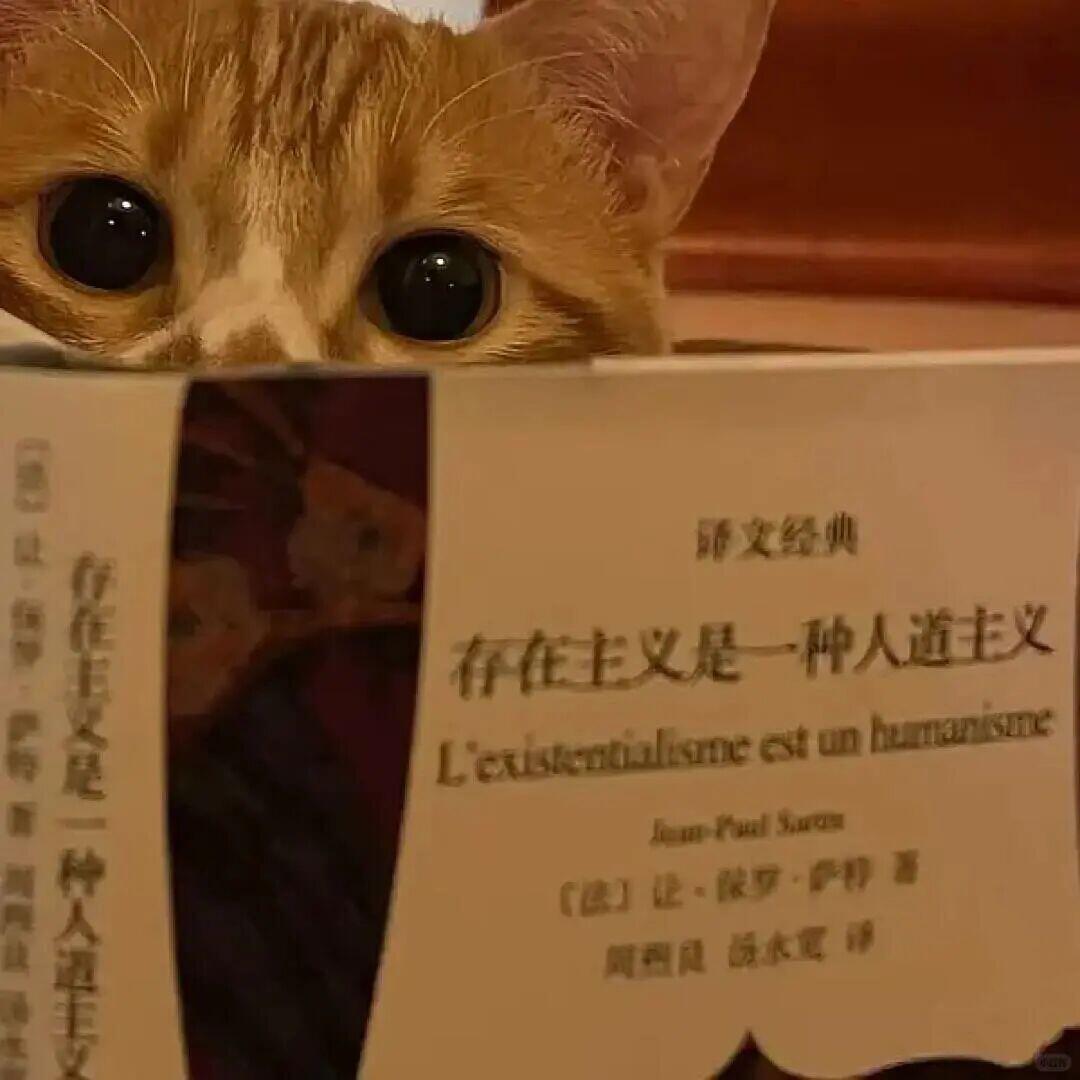 展轩老师，染了金发就不要吝啬，手势舞跳起来金发男美图发起来好吗！！！ 