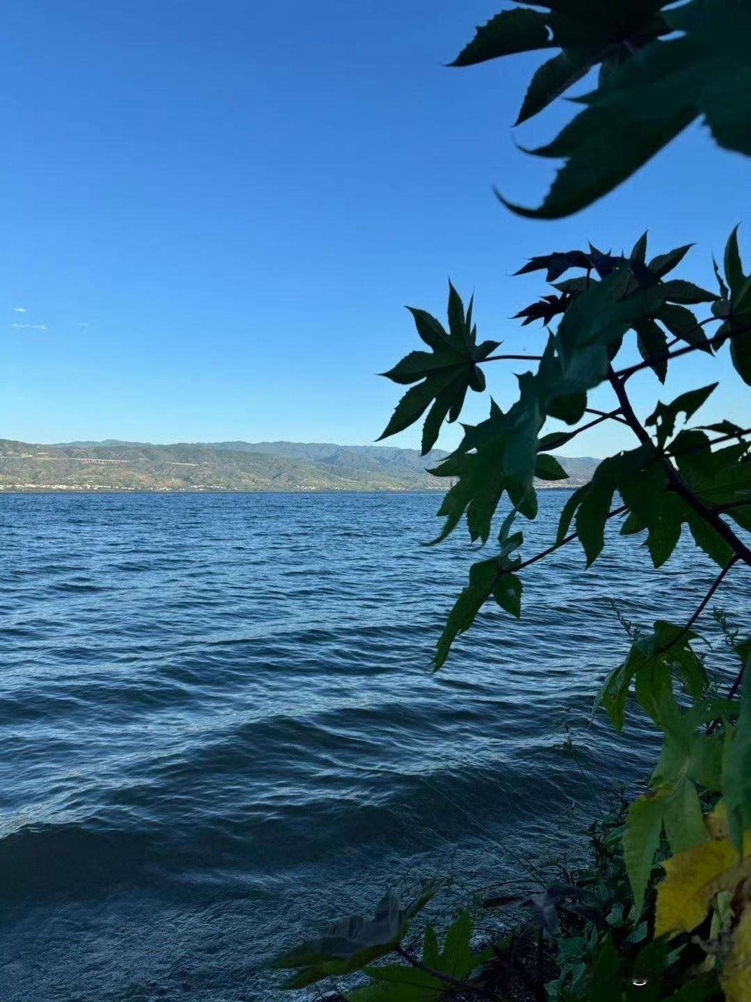 内蒙古一名31岁的女子，为了给孩子挣点奶粉钱，不顾自己还是哺乳期的宝妈，毅然坚持