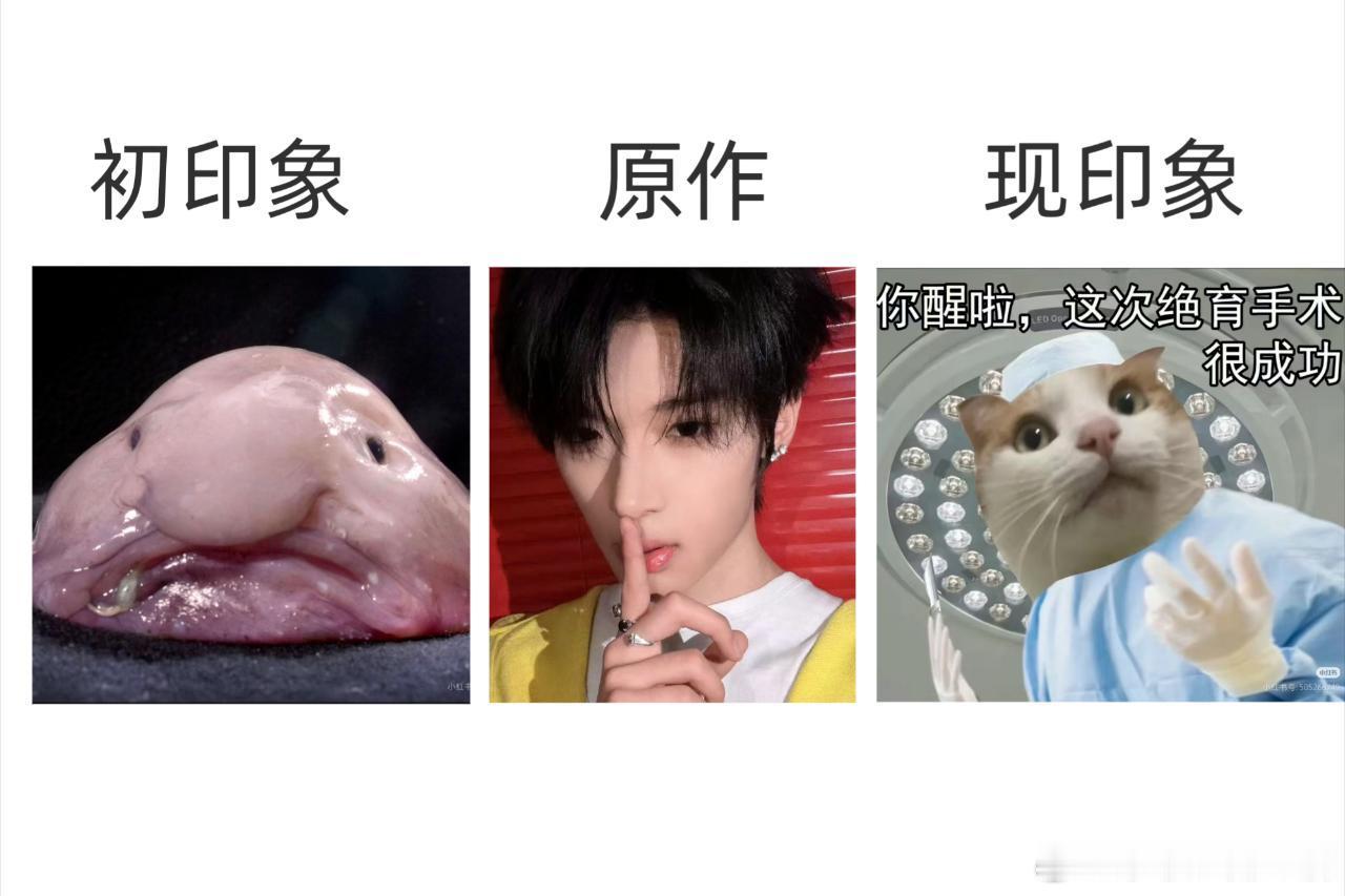 4334【仅供娱乐】所有cp都蹭了有刻板印象有玩烂梗有地狱梗有人不太熟有辱追有性