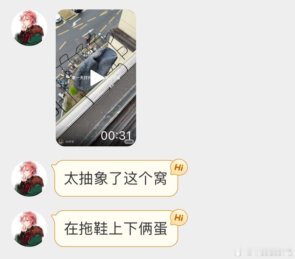 ？？？笑不活了珠颈斑鸠拖鞋上也能大小蛋哈哈哈孩子从小就被熏陶 ​​​