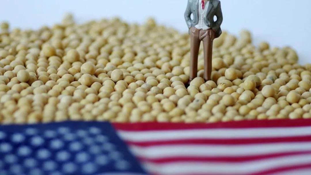 特朗普吹嘘中国下单大豆，让农民“去买更大的拖拉机”，我看了只想笑！
看到这条新闻