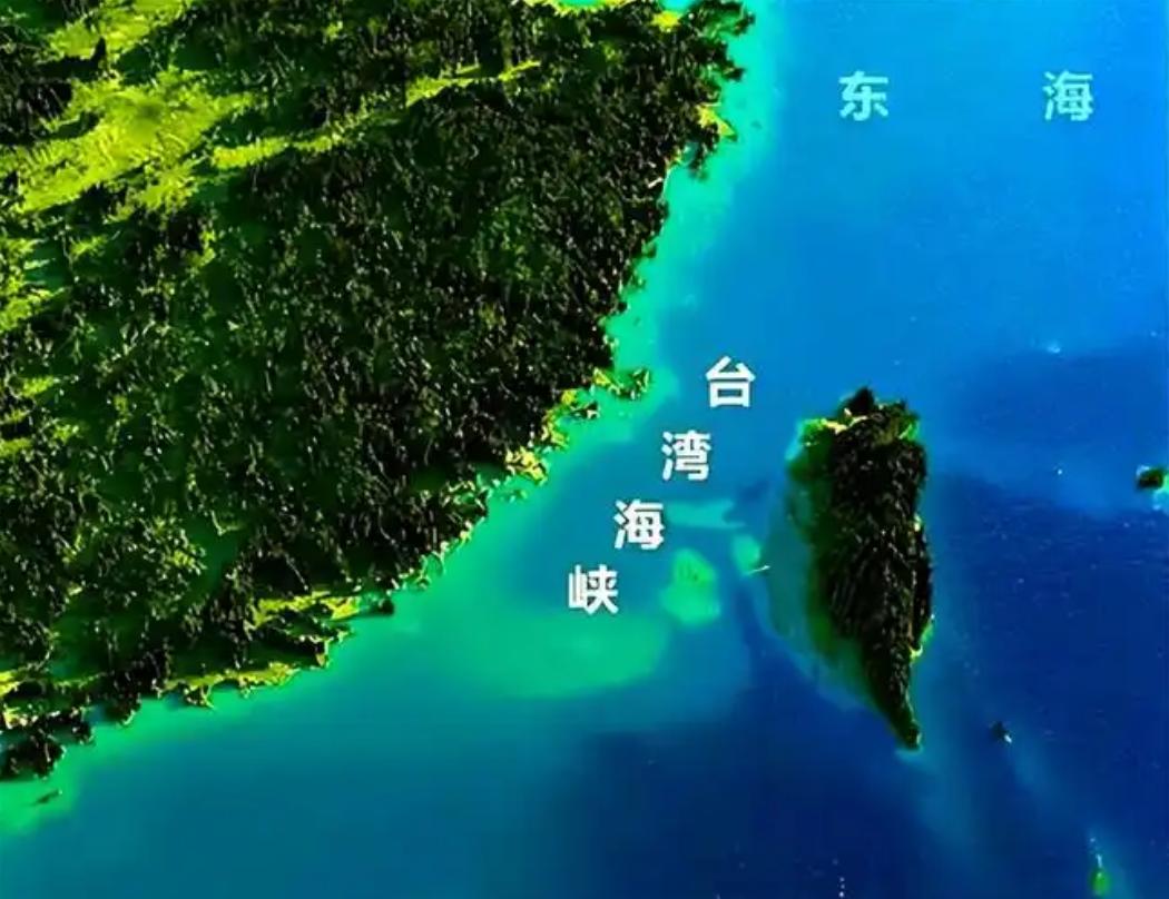 郑丽文曾言：“美国是台湾的恩人，台澎金马因为美军的协防，因为当年的美援，保住了台