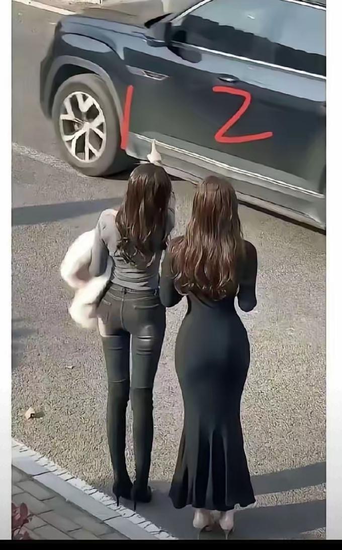 两位美女开奔驰，
远看背影显美丽。
衣着光鲜曲线美，
你选哪个做妻子。