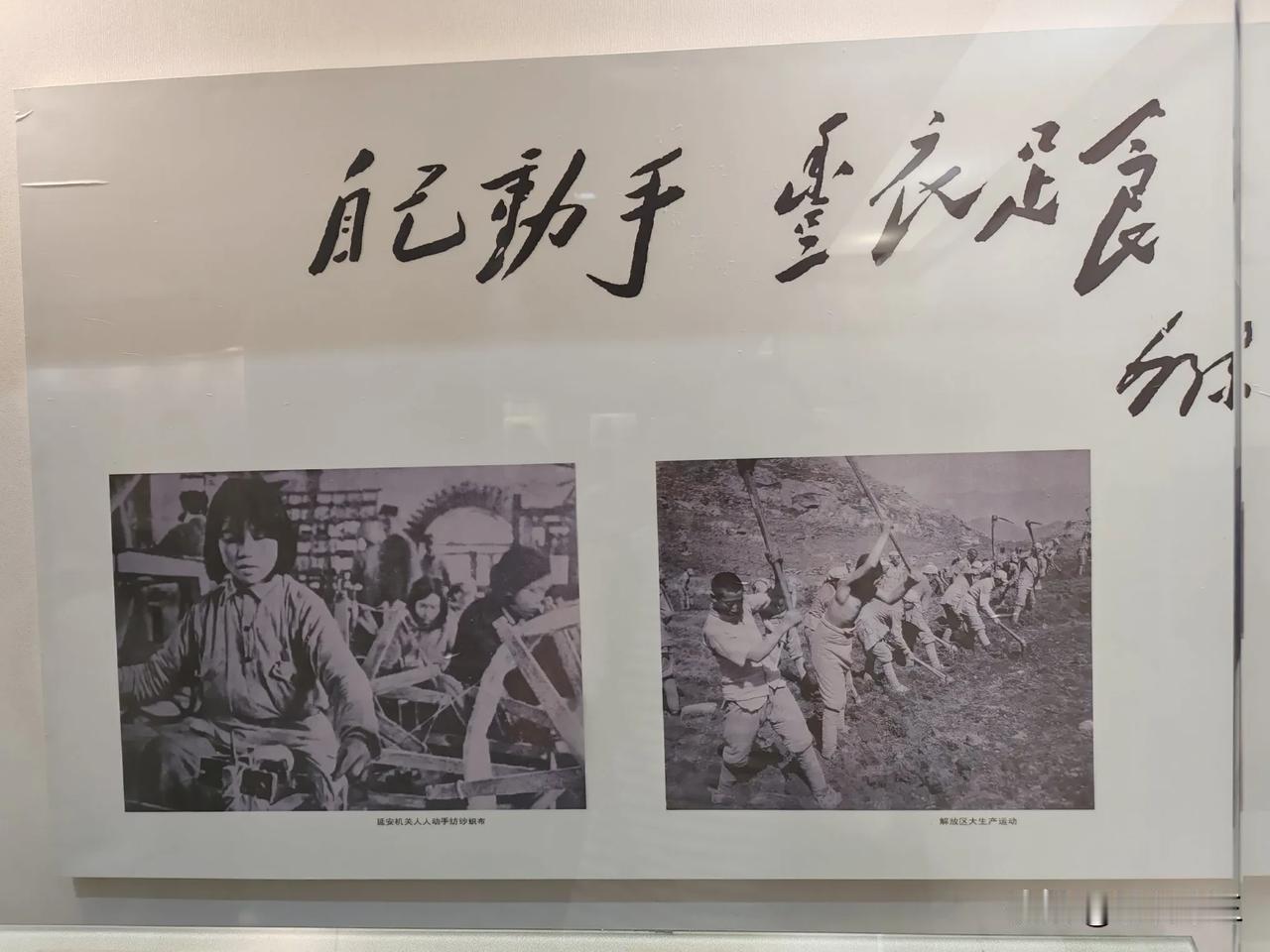 一名司务长，以未带钱为由牵走村民的猪，毛主席召开会议，做出决定：枪决！

井冈山