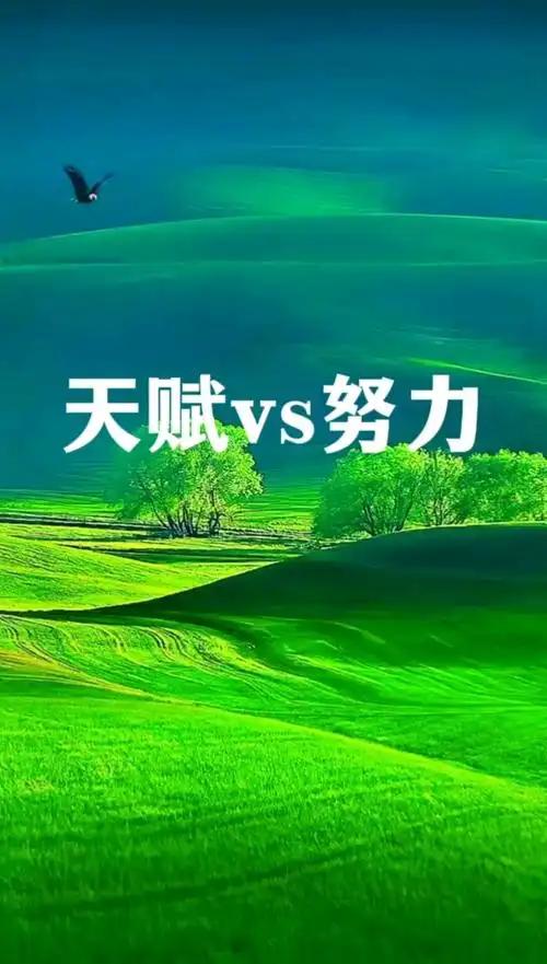 你相不相信天赋的存在？有人拼尽全力只摸到门槛，有人稍一发力便站在高处。有人说是因