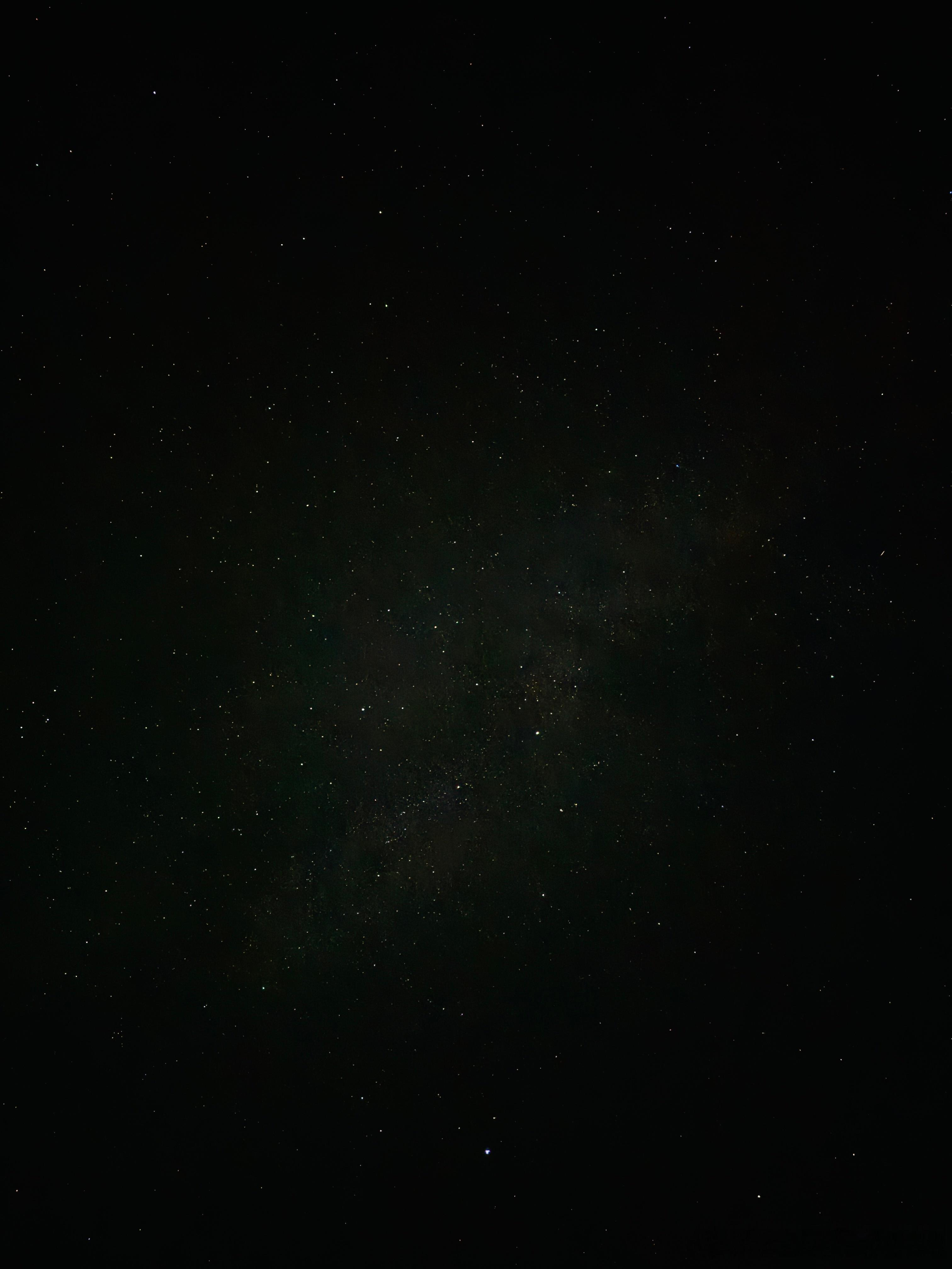 在这里播放哈基米音乐8月排行榜可以获得可观测宇宙内最爽的一声大狗叫 北京·东北口