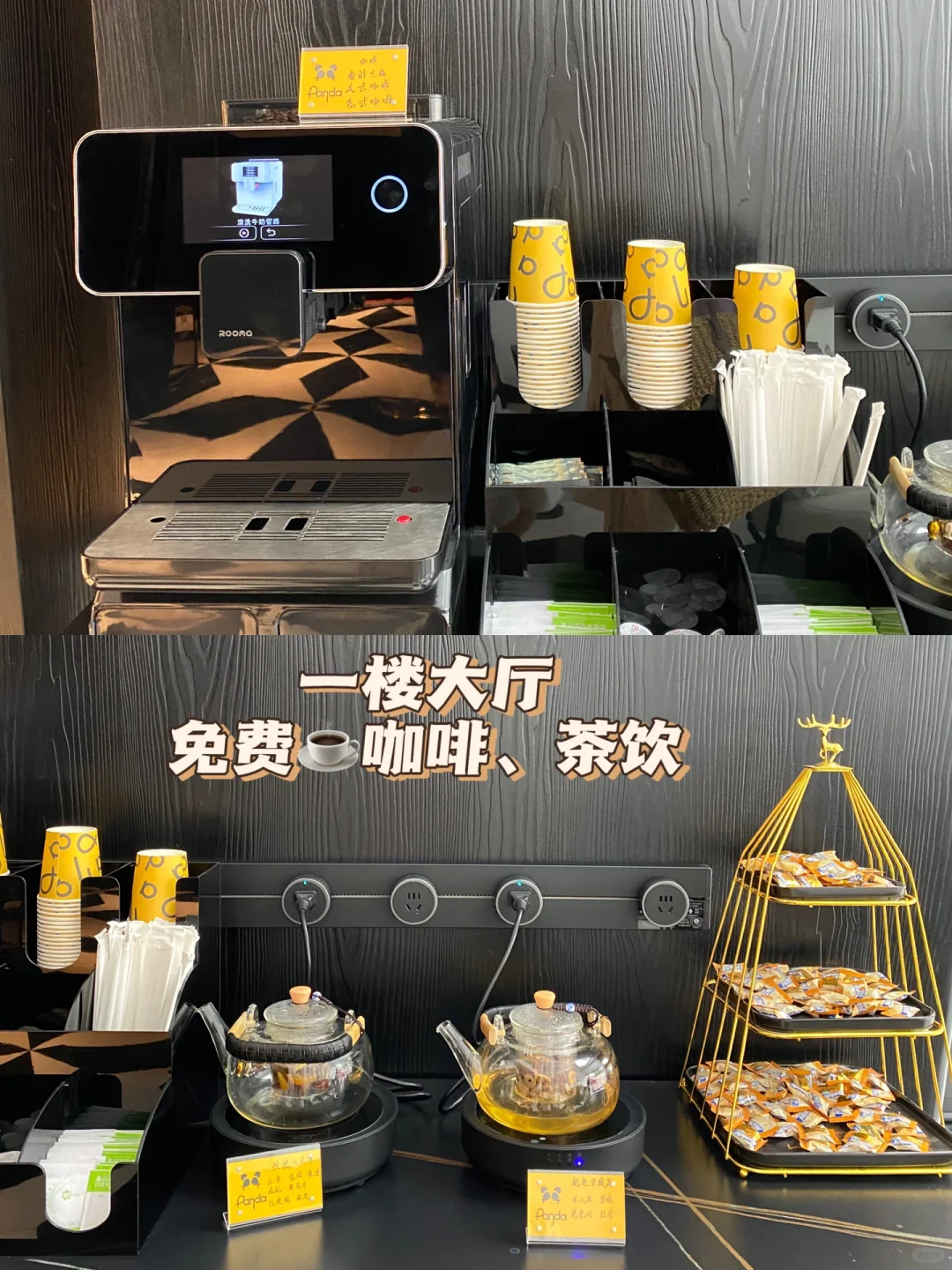 潮州新店/潮Hotel• 熊猫来了