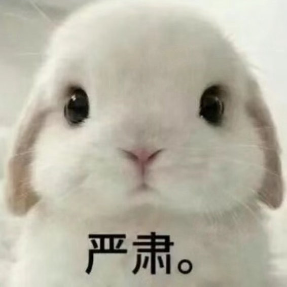 还有五分钟！严肃等待！ 