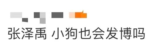 张泽禹 小狗也会发博吗 张泽禹会拍你多拍点！这个张泽禹不仅拍了小狗耳朵照片，还换
